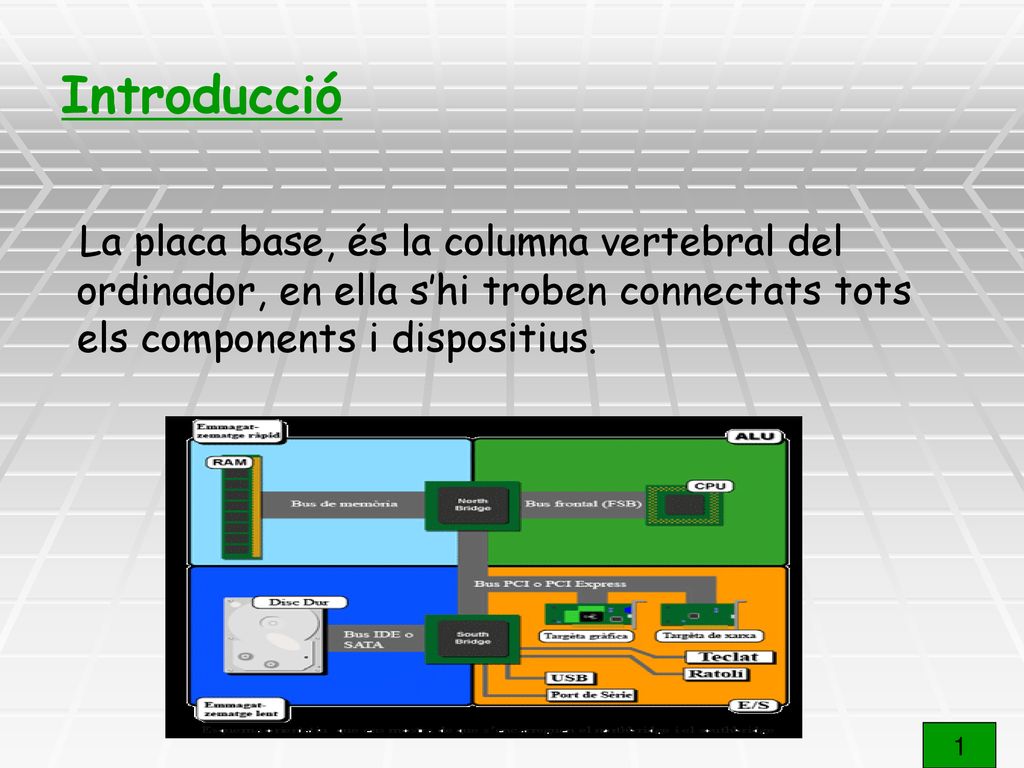 Introducció La placa base, és la columna vertebral del ordinador, en ella s’hi troben connectats tots els components i dispositius.