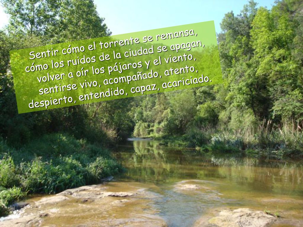 Sentir cómo el torrente se remansa, cómo los ruidos de la ciudad se apagan, volver a oír los pájaros y el viento, sentirse vivo, acompañado, atento, despierto, entendido, capaz, acariciado.