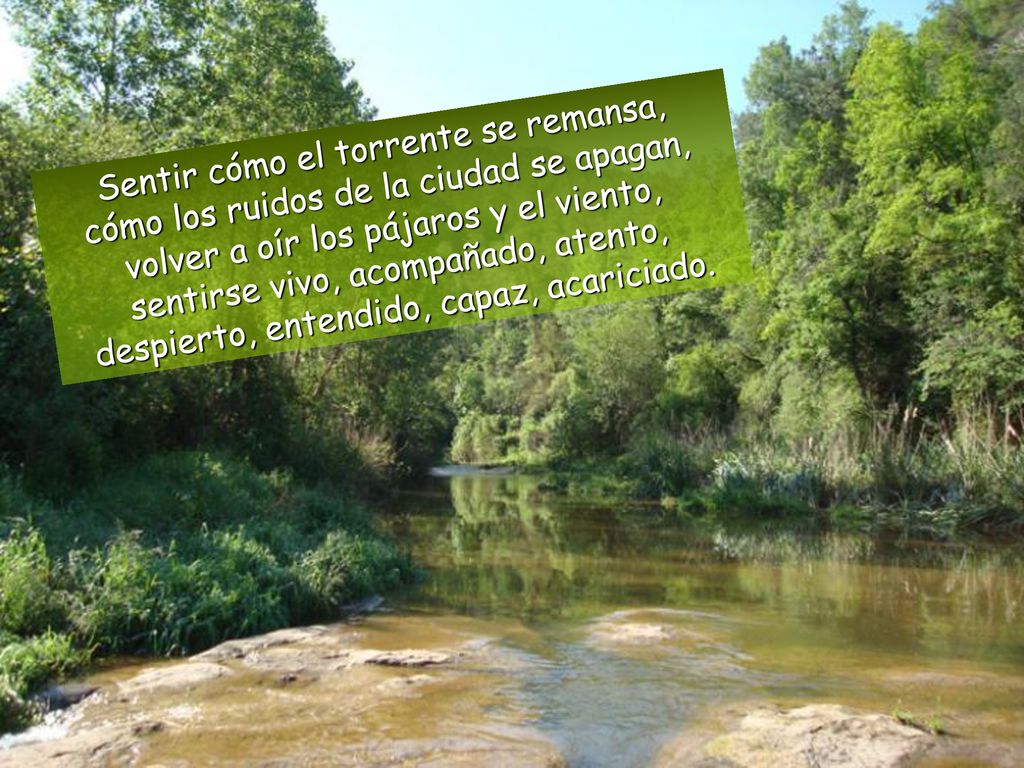 Sentir cómo el torrente se remansa, cómo los ruidos de la ciudad se apagan, volver a oír los pájaros y el viento, sentirse vivo, acompañado, atento, despierto, entendido, capaz, acariciado.