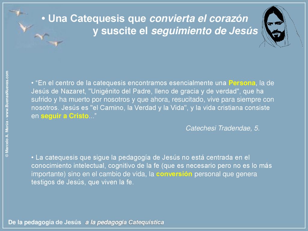 • Una Catequesis que convierta el corazón y suscite el seguimiento de Jesús