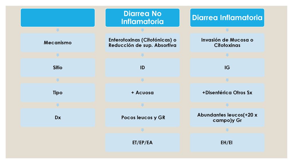 Diarrea Inflamatoria Mecanismo Sitio Tipo Dx