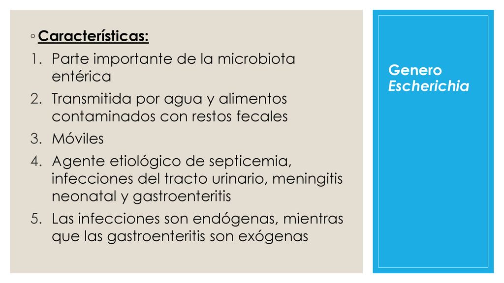 Características: Parte importante de la microbiota entérica. Transmitida por agua y alimentos contaminados con restos fecales.