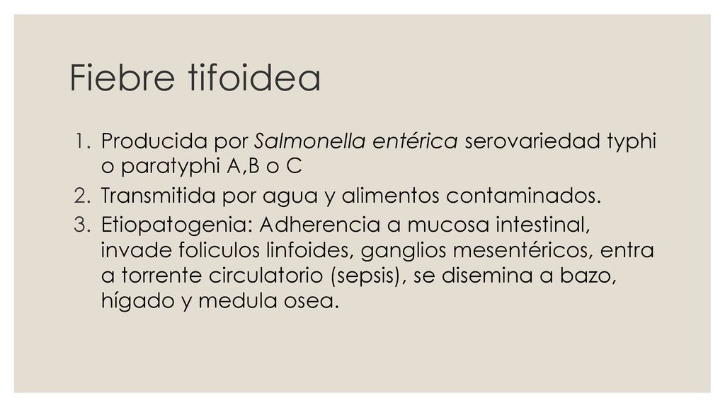 Fiebre tifoidea Producida por Salmonella entérica serovariedad typhi o paratyphi A,B o C. Transmitida por agua y alimentos contaminados.