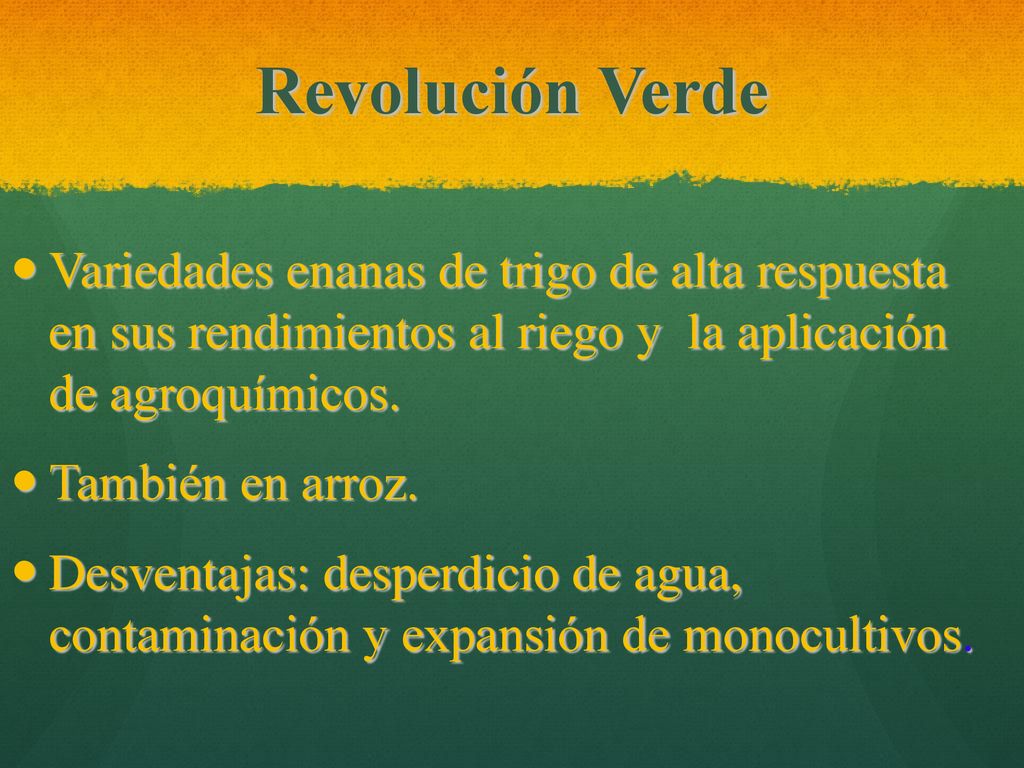 Revolución Verde Variedades enanas de trigo de alta respuesta en sus rendimientos al riego y la aplicación de agroquímicos.