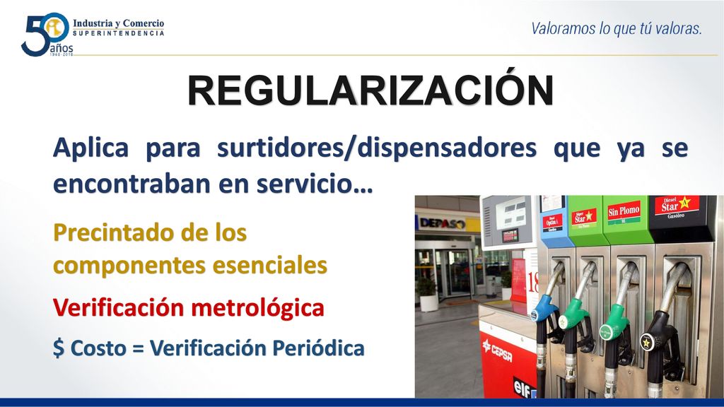 REGULARIZACIÓN Aplica para surtidores/dispensadores que ya se encontraban en servicio… Precintado de los componentes esenciales.
