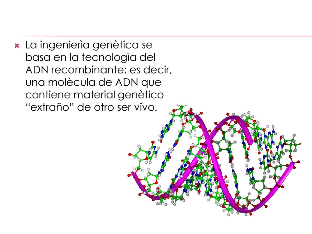 La ingenierìa genètica se basa en la tecnologìa del ADN recombinante; es decir, una molècula de ADN que contiene material genètico extraño de otro ser vivo.