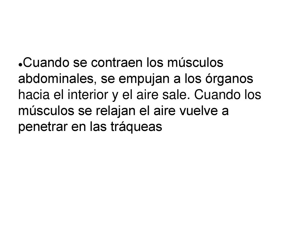Cuando se contraen los músculos abdominales, se empujan a los órganos hacia el interior y el aire sale.