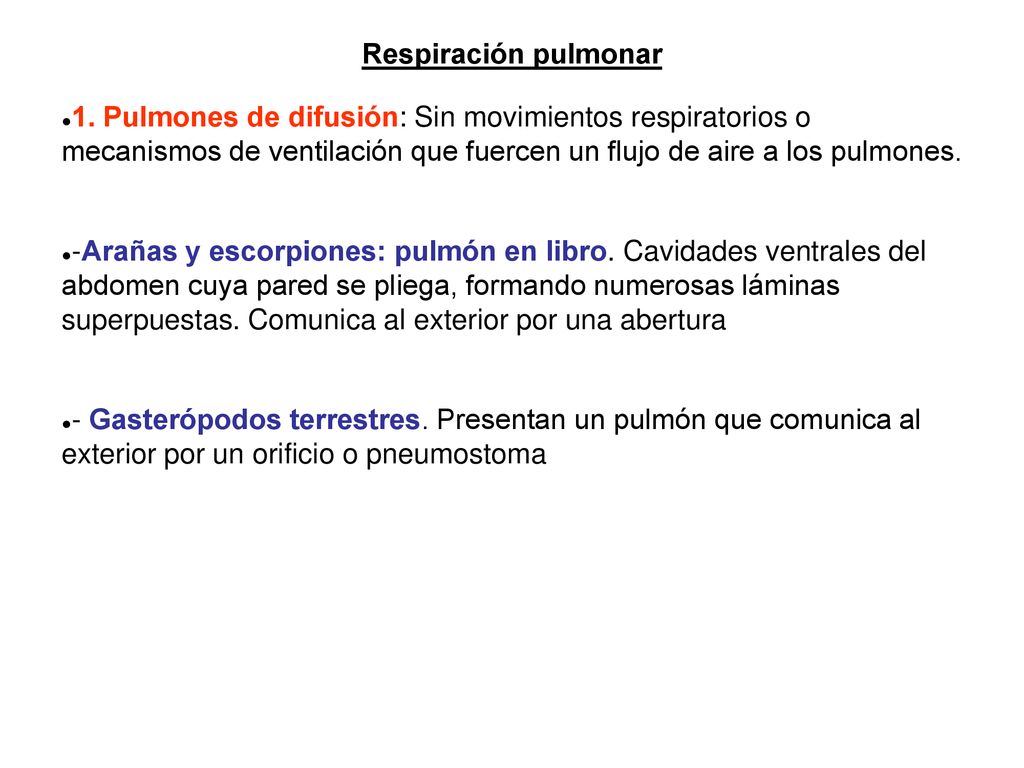 Respiración pulmonar 1. Pulmones de difusión: Sin movimientos respiratorios o mecanismos de ventilación que fuercen un flujo de aire a los pulmones.