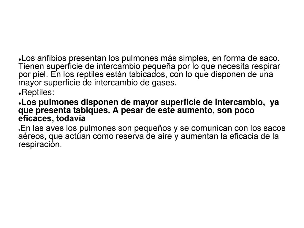 Los anfibios presentan los pulmones más simples, en forma de saco