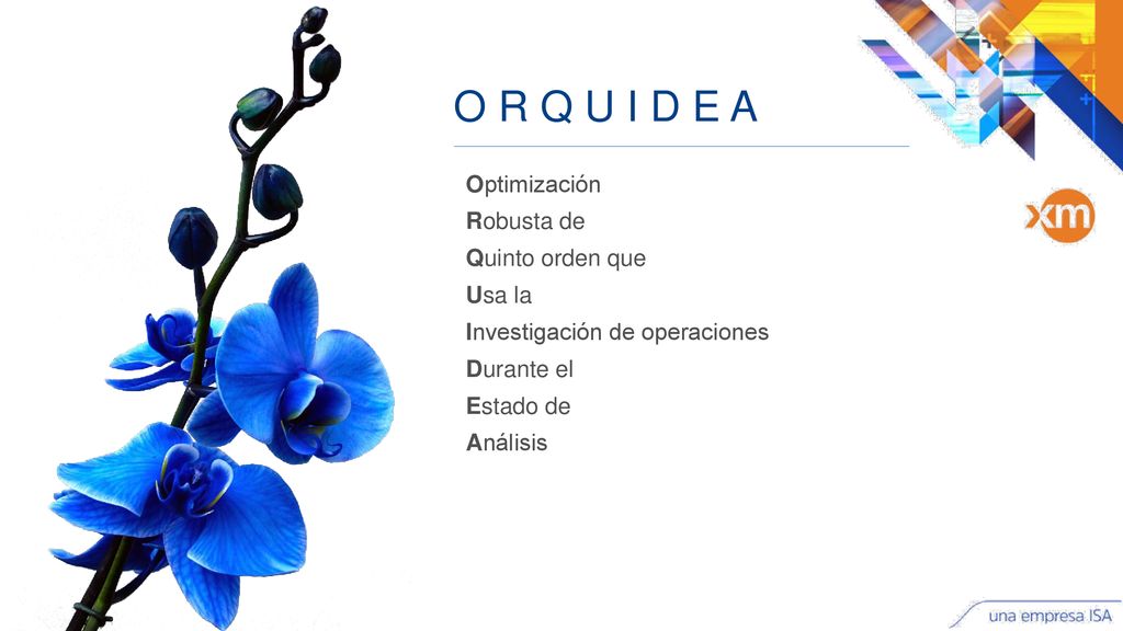 O R Q U I D E A Optimización Robusta de Quinto orden que Usa la