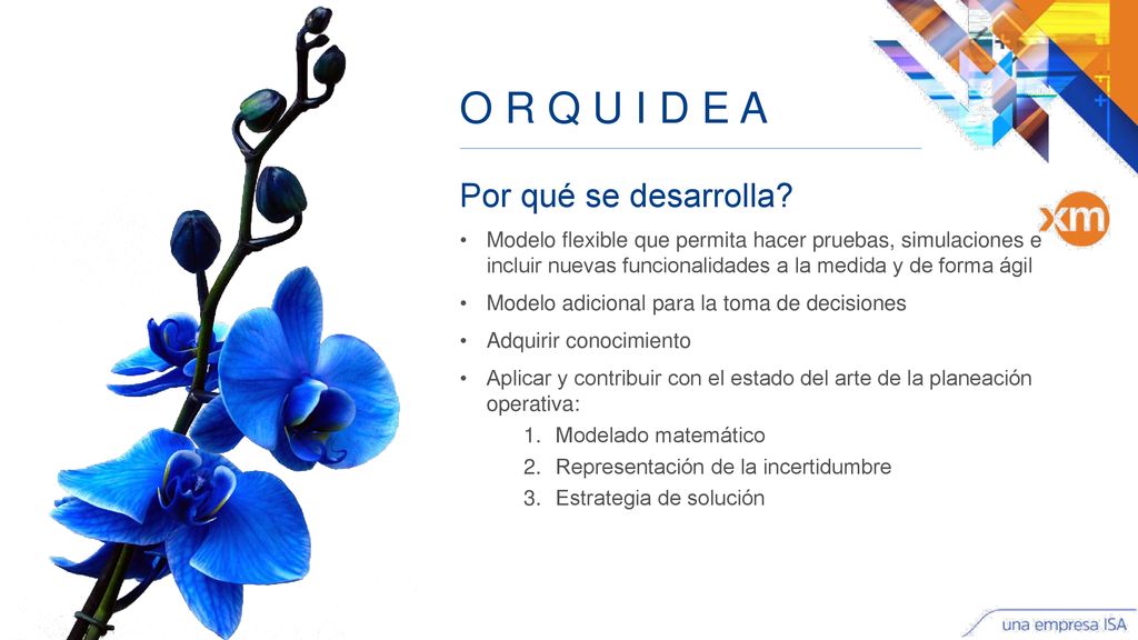 O R Q U I D E A Por qué se desarrolla