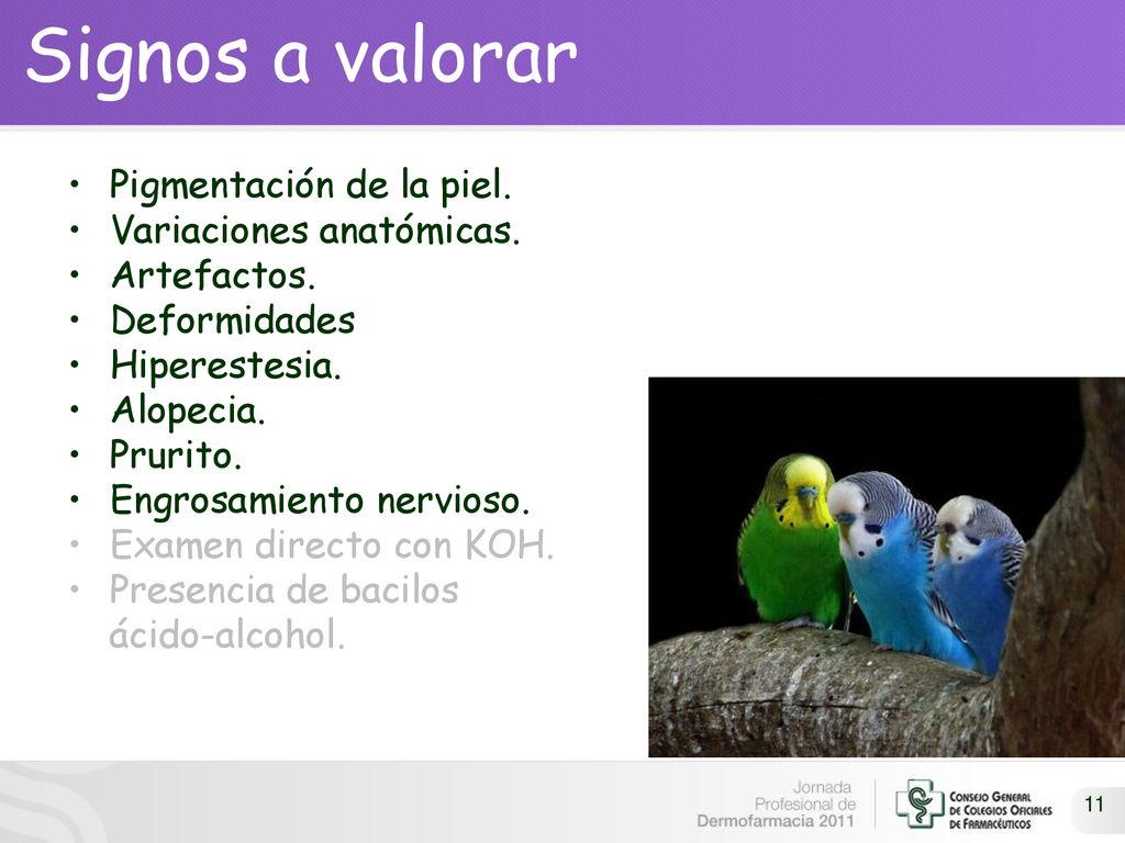 Signos a valorar Pigmentación de la piel. Variaciones anatómicas.