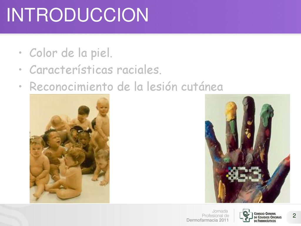 INTRODUCCION Color de la piel. Características raciales.