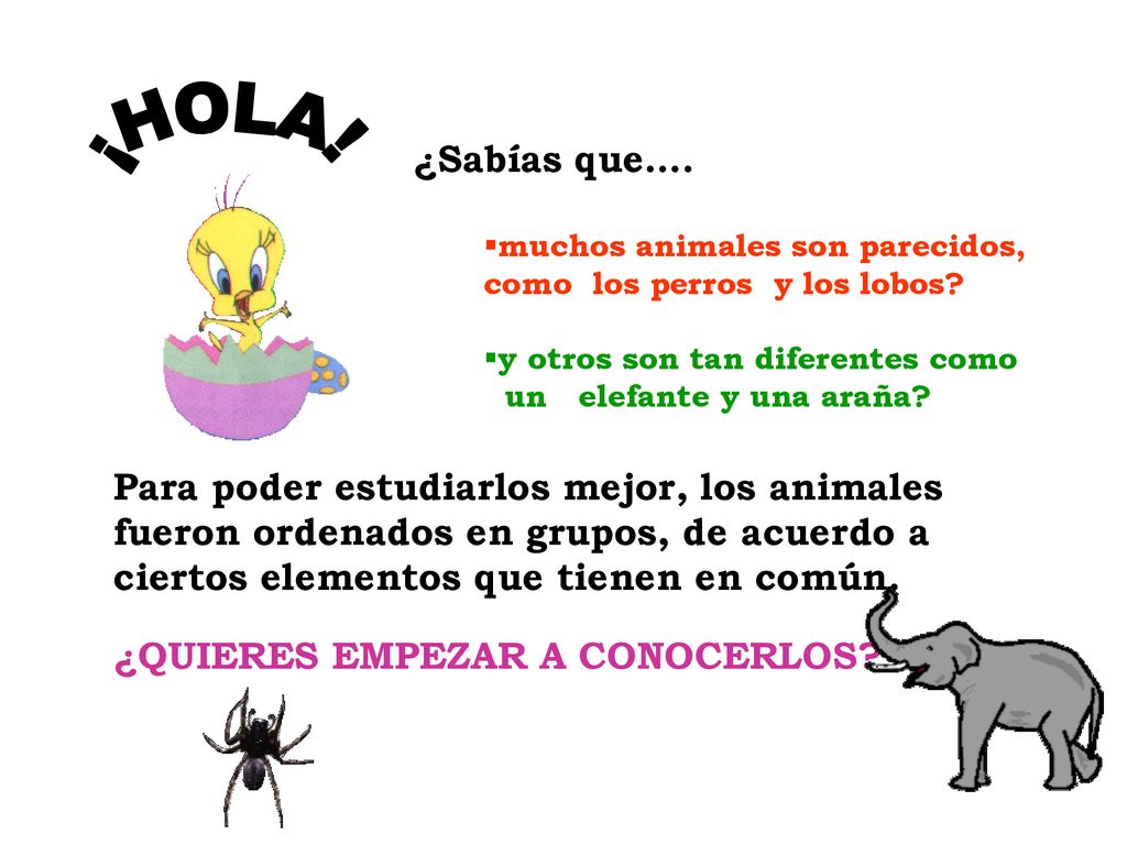 ¡HOLA! ¿Sabías que…. muchos animales son parecidos, como los perros y los lobos y otros son tan diferentes como.