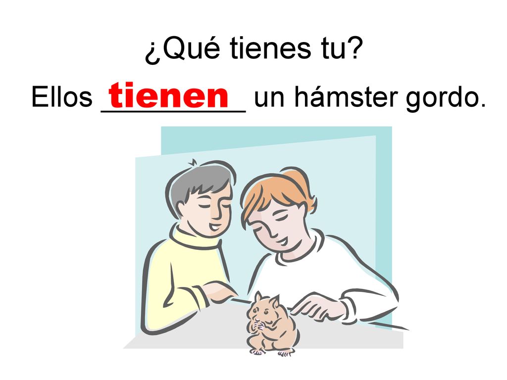 ¿Qué tienes tu tienen Ellos _________ un hámster gordo.