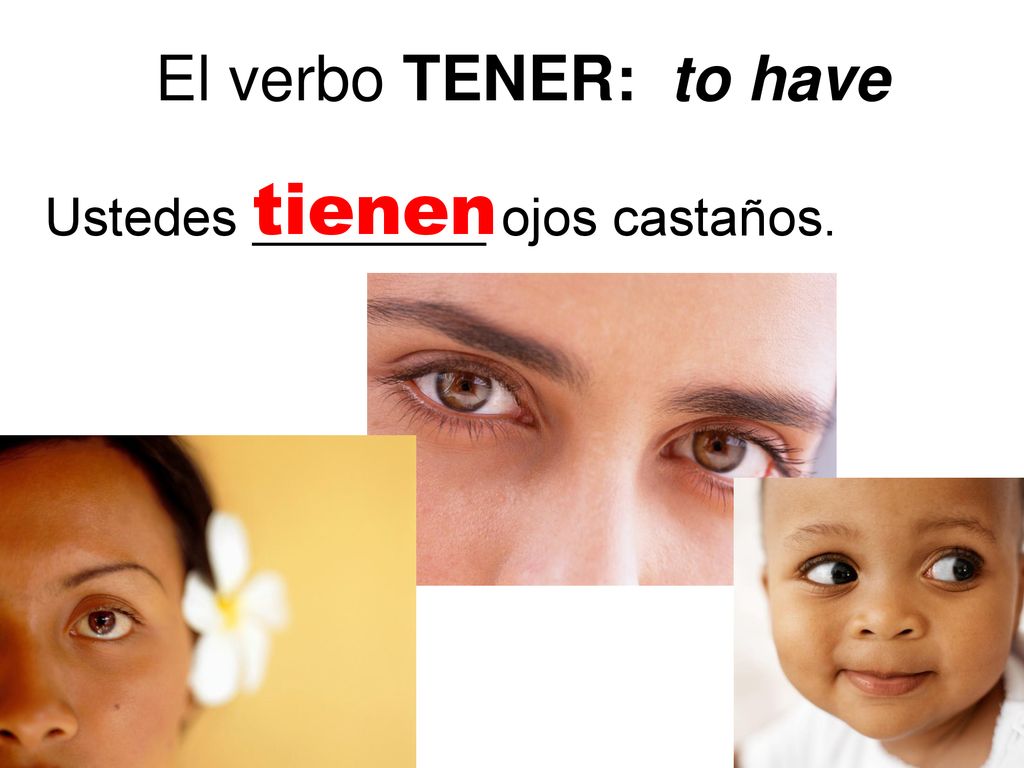 El verbo TENER: to have tienen Ustedes ________ ojos castaños.