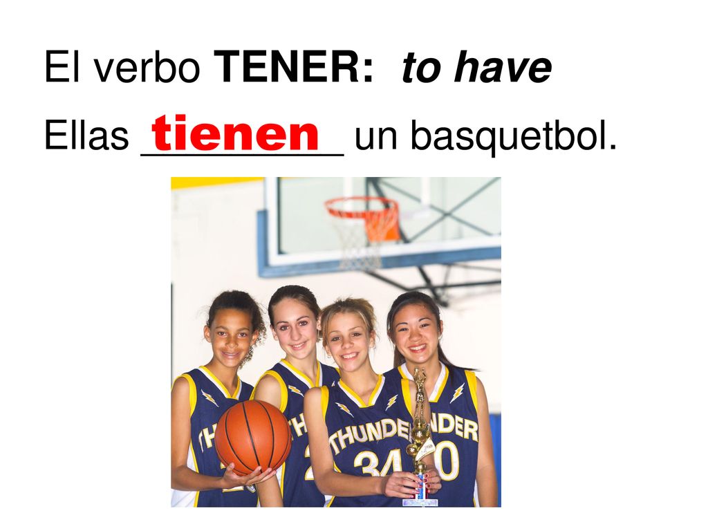 El verbo TENER: to have tienen Ellas _________ un basquetbol.