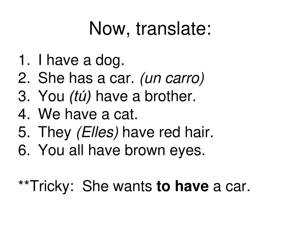 Now, translate: I have a dog. She has a car. (un carro)