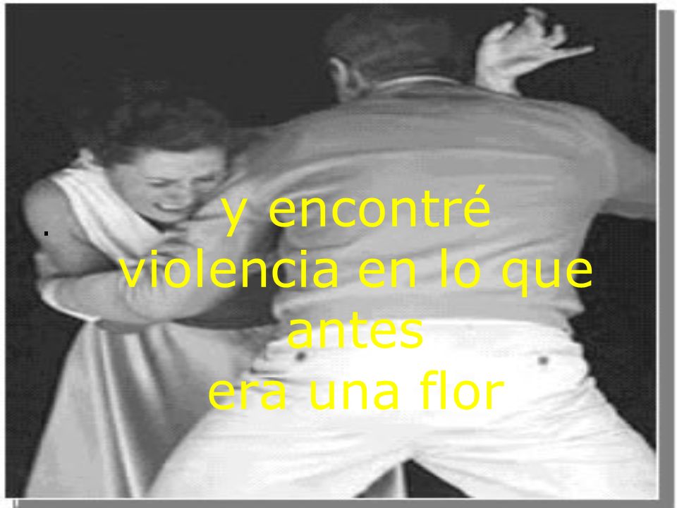 y encontré violencia en lo que antes era una flor