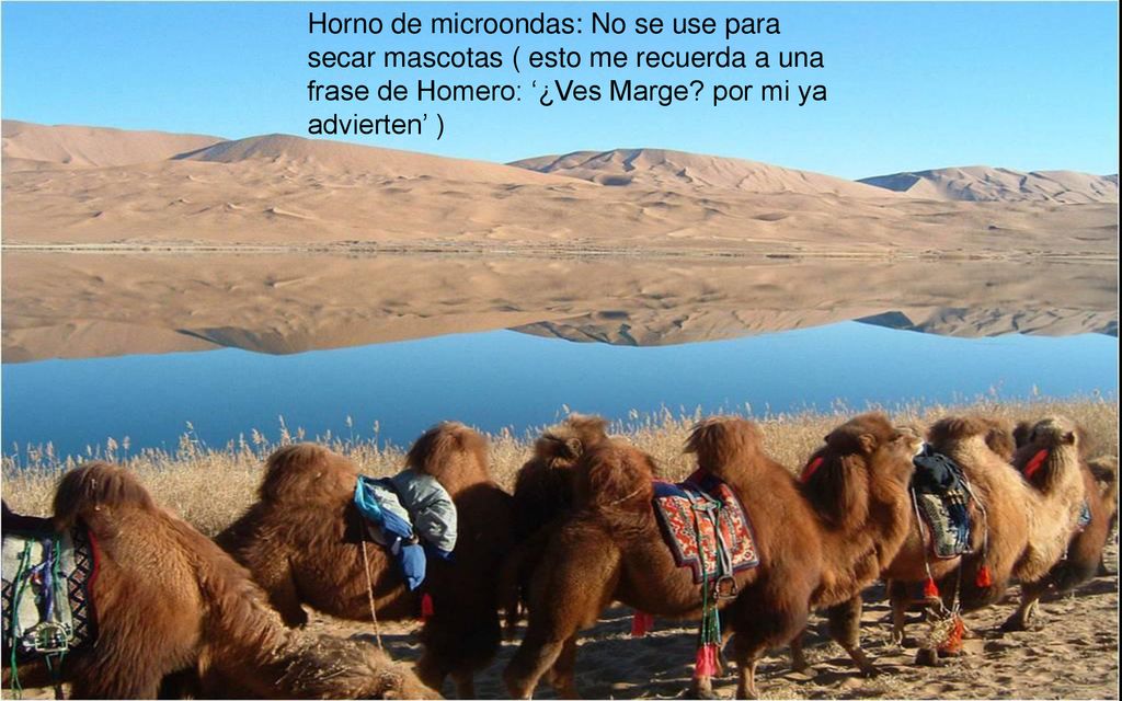 Horno de microondas: No se use para secar mascotas ( esto me recuerda a una frase de Homero: ‘¿Ves Marge.