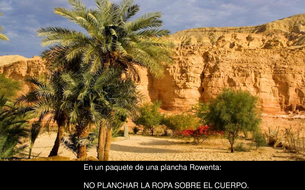 En un paquete de una plancha Rowenta: NO PLANCHAR LA ROPA SOBRE EL CUERPO.