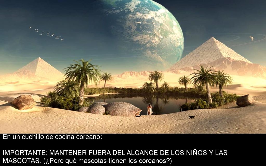 En un cuchillo de cocina coreano: IMPORTANTE: MANTENER FUERA DEL ALCANCE DE LOS NIÑOS Y LAS MASCOTAS.