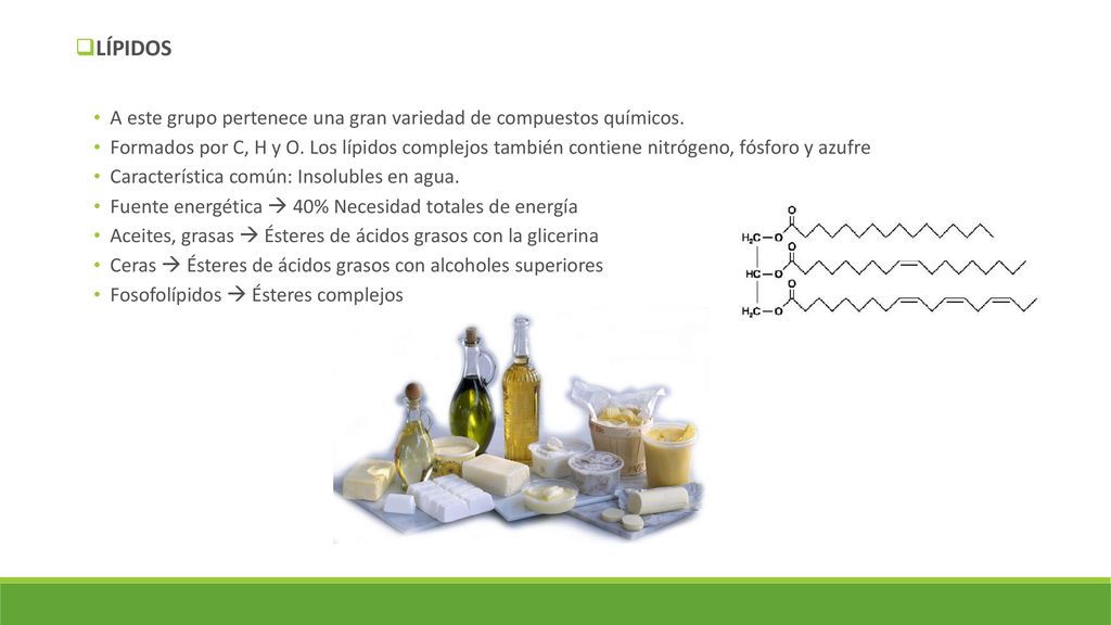 LÍPIDOS A este grupo pertenece una gran variedad de compuestos químicos.