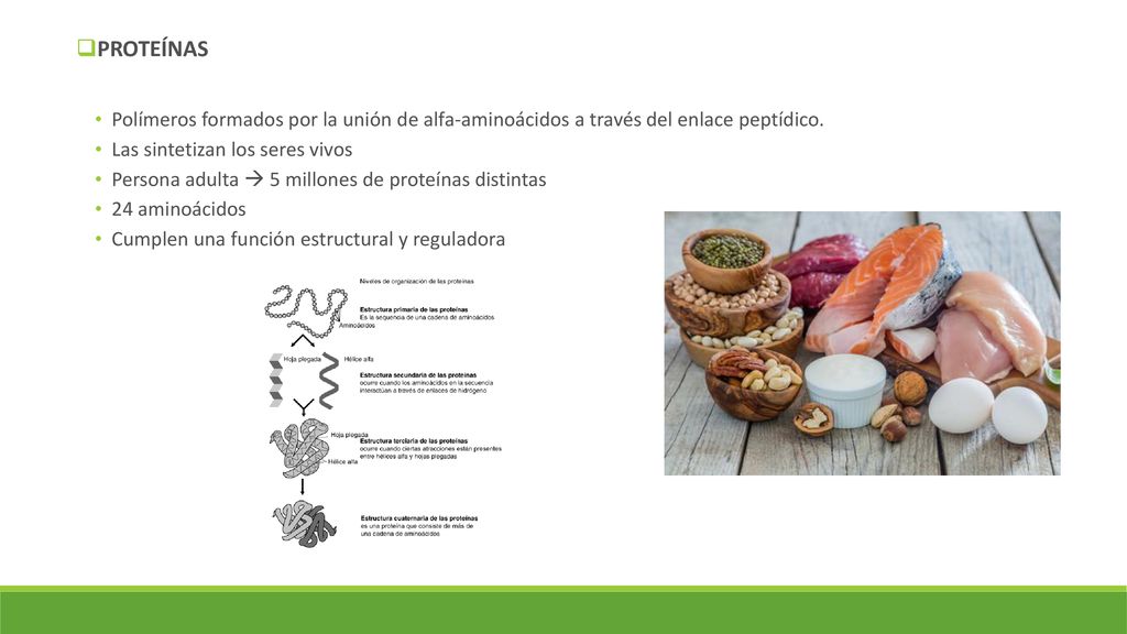 PROTEÍNAS Polímeros formados por la unión de alfa-aminoácidos a través del enlace peptídico. Las sintetizan los seres vivos.