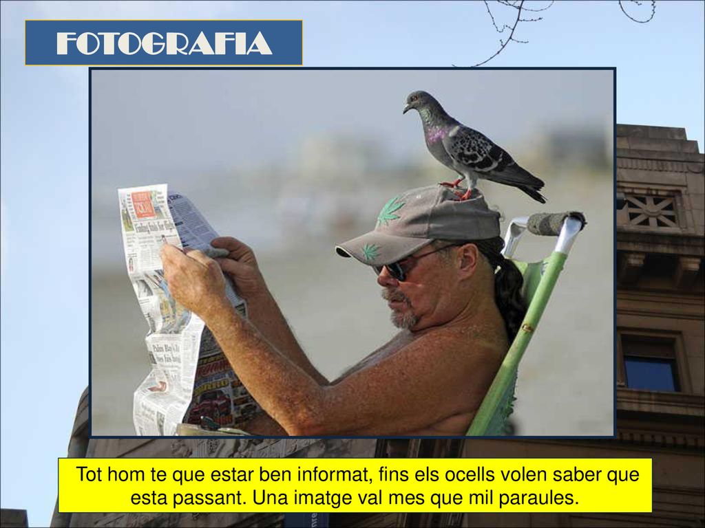FOTOGRAFIA Tot hom te que estar ben informat, fins els ocells volen saber que esta passant.