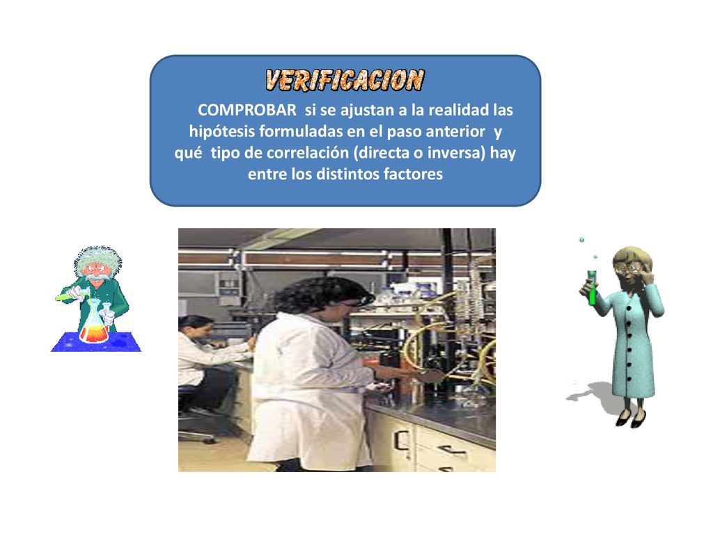 COMPROBAR si se ajustan a la realidad las hipótesis formuladas en el paso anterior y qué tipo de correlación (directa o inversa) hay entre los distintos factores