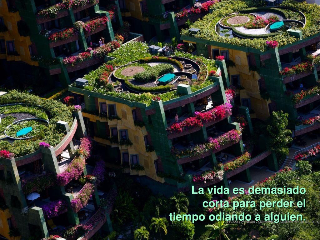 La vida es demasiado corta para perder el tiempo odiando a alguien.