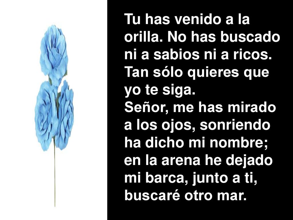 Tu has venido a la orilla. No has buscado. ni a sabios ni a ricos. Tan sólo quieres que. yo te siga.