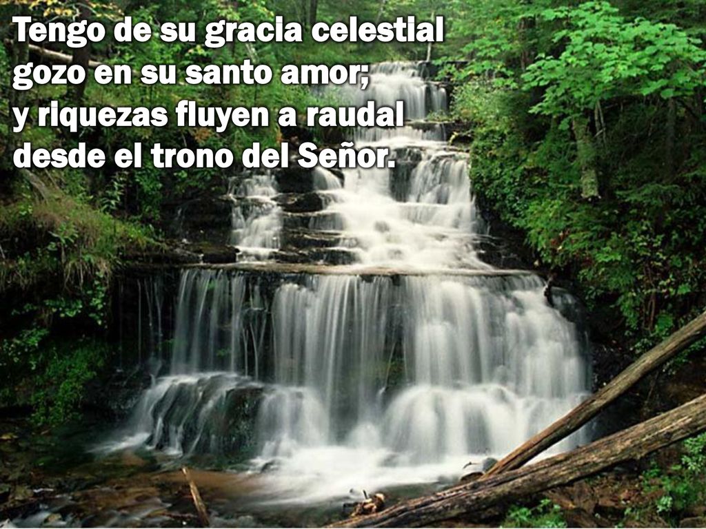 Tengo de su gracia celestial gozo en su santo amor; y riquezas fluyen a raudal desde el trono del Señor.