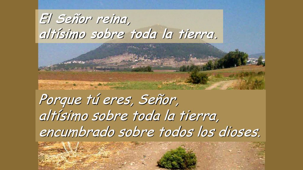 altísimo sobre toda la tierra, encumbrado sobre todos los dioses.