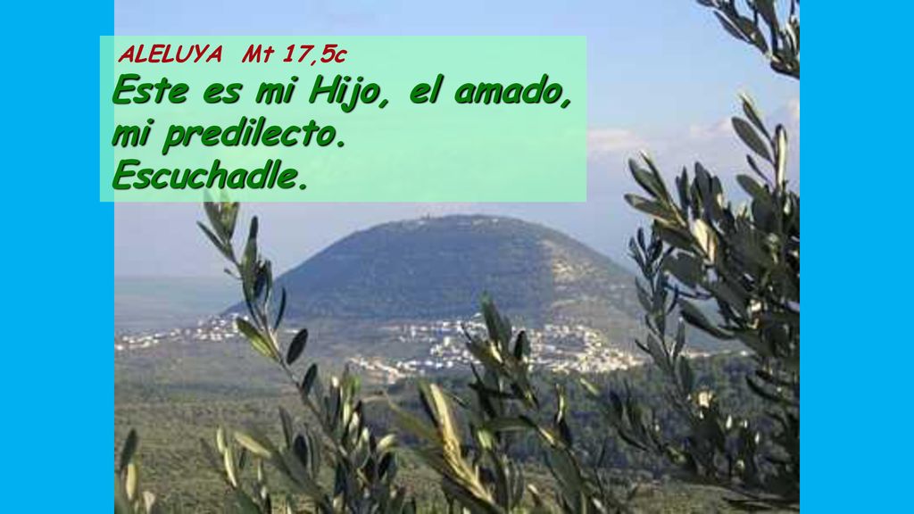 ALELUYA Mt 17,5c Este es mi Hijo, el amado, mi predilecto. Escuchadle.