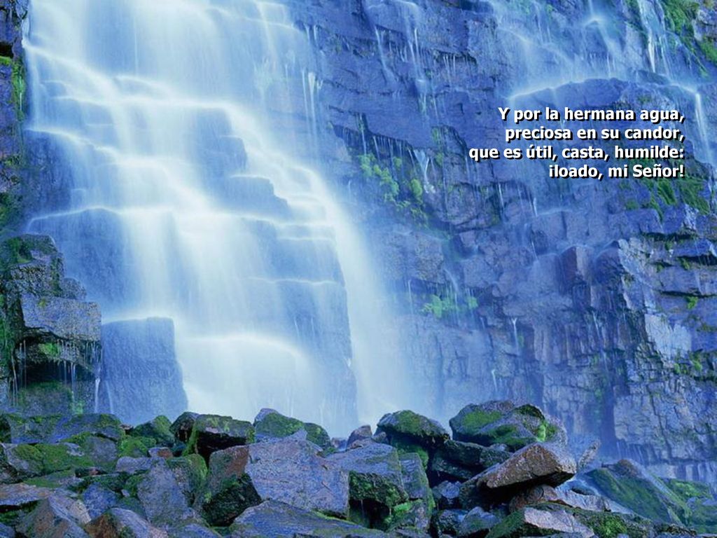 Y por la hermana agua, preciosa en su candor, que es útil, casta, humilde: ¡loado, mi Señor!