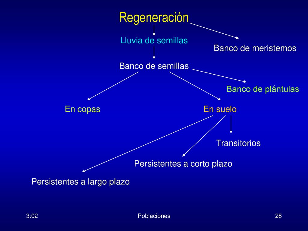 Regeneración Lluvia de semillas Banco de meristemos Banco de semillas