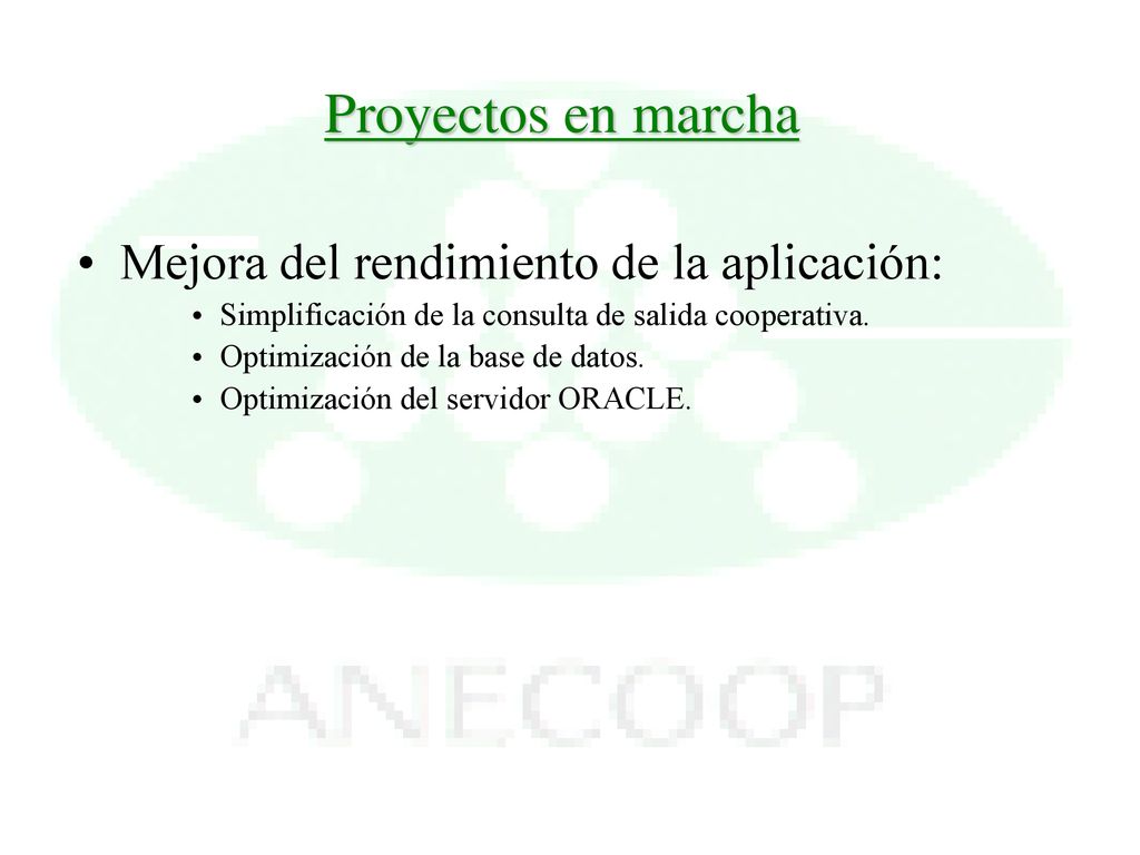 Proyectos en marcha Mejora del rendimiento de la aplicación: