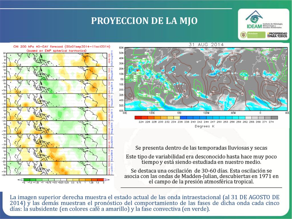 Se presenta dentro de las temporadas lluviosas y secas