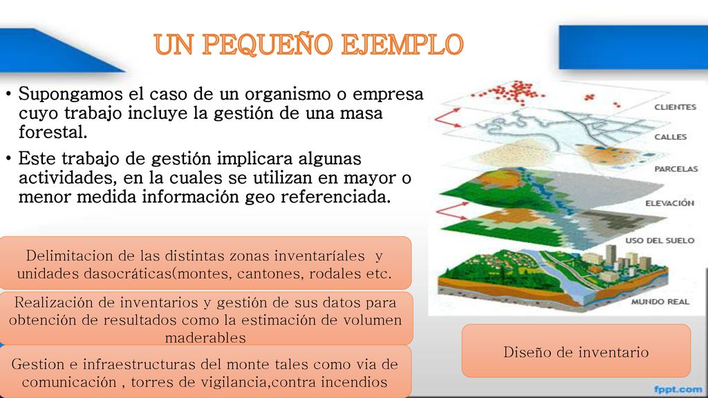 UN PEQUEÑO EJEMPLO Supongamos el caso de un organismo o empresa cuyo trabajo incluye la gestión de una masa forestal.