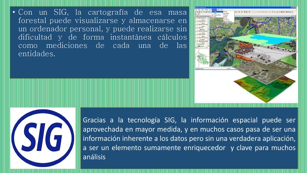 Con un SIG, la cartografía de esa masa forestal puede visualizarse y almacenarse en un ordenador personal, y puede realizarse sin dificultad y de forma instantánea cálculos como mediciones de cada una de las entidades.