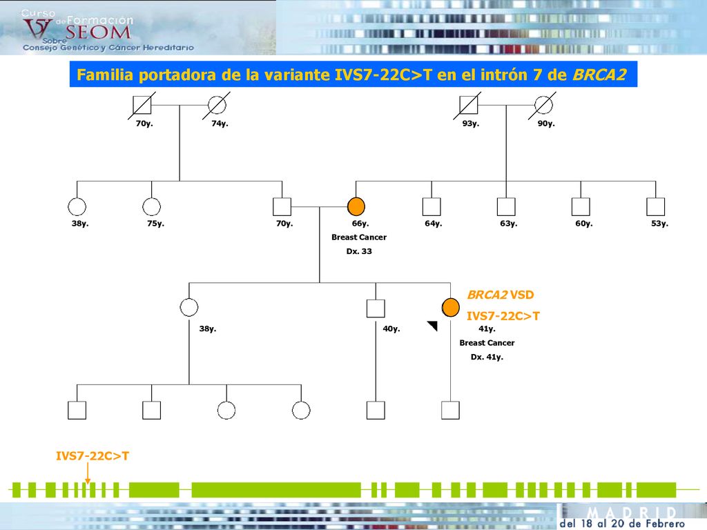 Familia portadora de la variante IVS7-22C>T en el intrón 7 de BRCA2