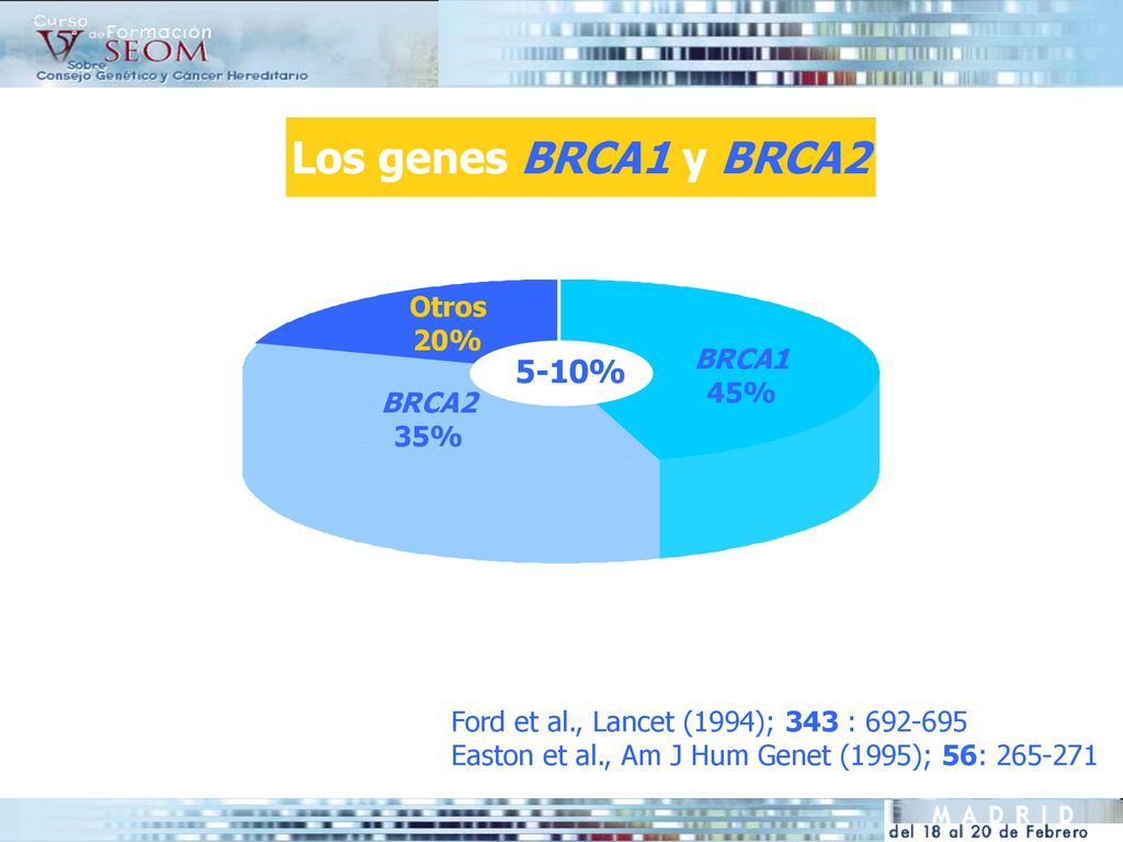 Los genes BRCA1 y BRCA2 5-10% Otros 20% BRCA1 45% BRCA2 35%