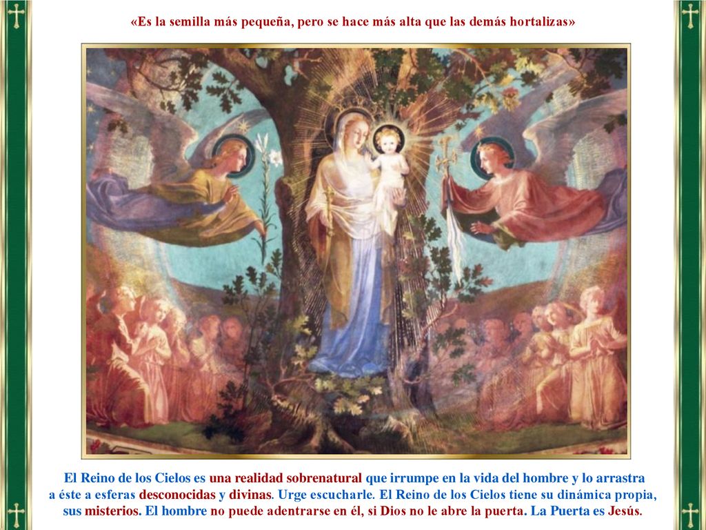 «Es la semilla más pequeña, pero se hace más alta que las demás hortalizas»