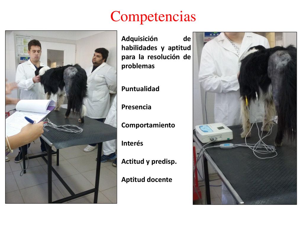 Competencias Adquisición de habilidades y aptitud para la resolución de problemas. Puntualidad. Presencia.