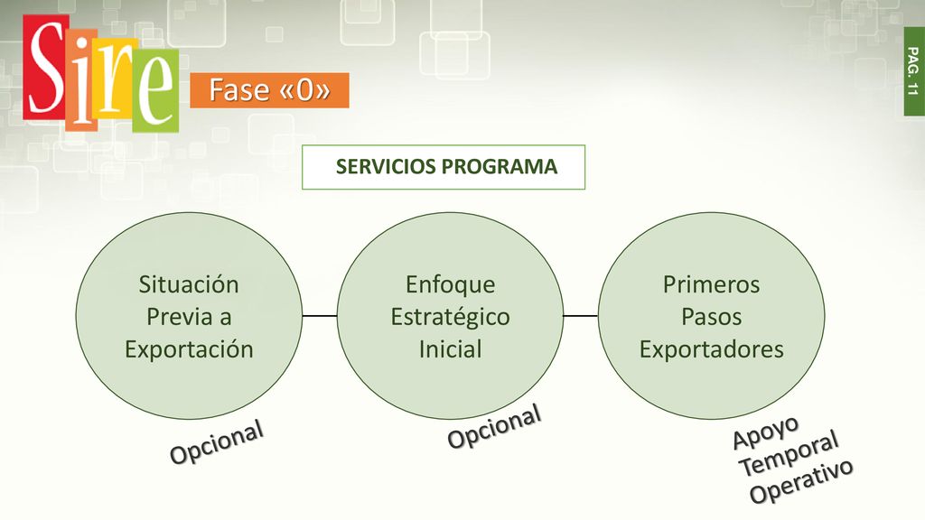 Fase «0» Situación Previa a Exportación Enfoque Estratégico Inicial