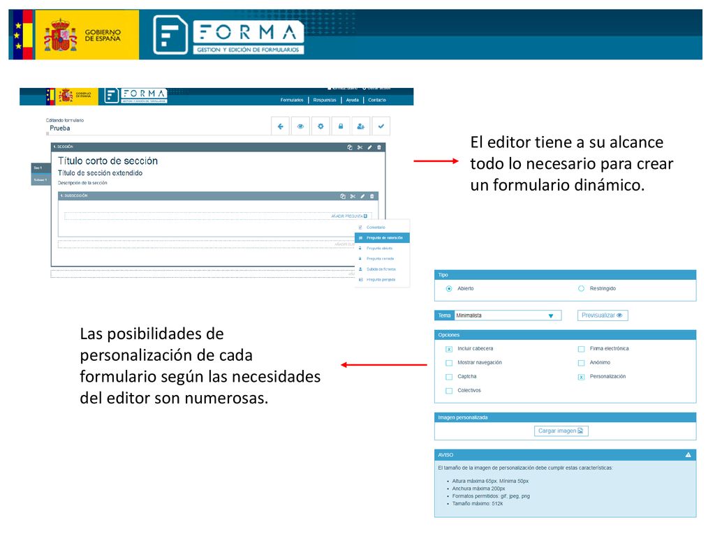 El editor tiene a su alcance todo lo necesario para crear un formulario dinámico.