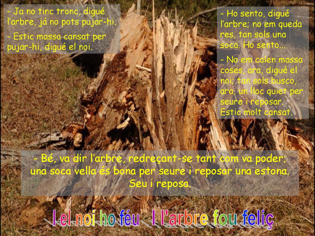 I l arbre fou feliç I el noi ho féu