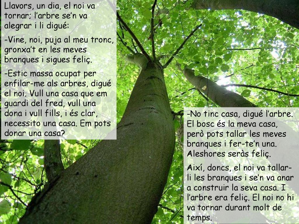 Llavors, un dia, el noi va tornar; l’arbre se’n va alegrar i li digué: