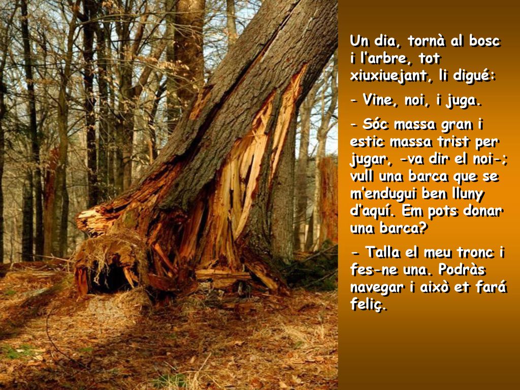 Un dia, tornà al bosc i l’arbre, tot xiuxiuejant, li digué: